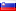 Slovenian Language
